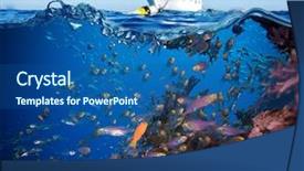  Presentation with tropical reef fish - Audience pleasing PPT theme consisting of wild life - colorful underwater offshore rocky reef backdrop and a  colored foreground
