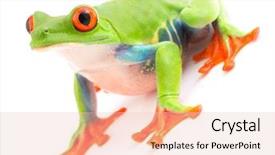  Presentation with costa rica - Audience pleasing slide deck consisting of wild life - red eyed monkey tree frog backdrop and a lemonade colored foreground