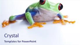  Presentation with red apple tree - Slide deck having wild life - red eyed tree frog background and a sky blue colored foreground