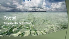  Presentation with aquaculture full of sea fish - Audience pleasing PPT layouts consisting of wild life - transparent sea water with fish backdrop and a  colored foreground