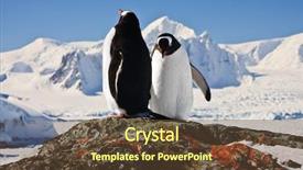  Presentation with rock climbing to top of mountain - Colorful PPT layouts enhanced with wild life - two penguins dreaming sitting backdrop and a tawny brown colored foreground