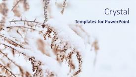  Presentation with meadow - Slide set enhanced with wild-meadow-flowers-with-snow background and a sky blue colored foreground