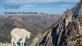  Presentation with mountain - Presentation theme consisting of wild-mountain-goat-in-cascade background and a light blue colored foreground