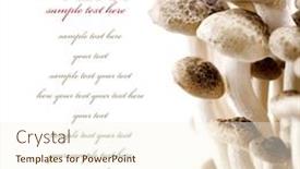  Presentation with sample - Slides featuring wild-mushrooms-isolated-on-white background and a cream colored foreground