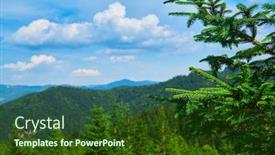  Presentation with beautiful nature - Slide deck featuring wild-nature-branches-closeup-summer background and a tawny brown colored foreground