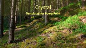  Presentation with sunlight - PPT theme featuring wild-nature-bright-sunlight background and a tawny brown colored foreground