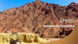  Presentation with volcanic rocks - Cool new PPT layouts with wild-nubian-mountain-goat backdrop and a tawny brown colored foreground