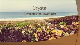  Presentation with filter - PPT layouts having wild-oceanic-coast-in-florida background and a lemonade colored foreground