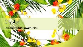 Presentation with wild flower - Beautiful presentation theme featuring wild orchid - composition with fresh tropical leaves backdrop and a blonde colored foreground
