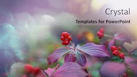  Presentation with season - PPT layouts having wild-plants-in-the-forest background and a light blue colored foreground