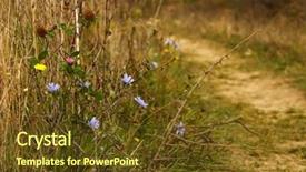  Presentation with plants tissue - Presentation design featuring wild plants on mountain track background and a  colored foreground