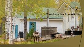  Presentation with country - Beautiful slide deck featuring wild-reindeer-at-the-backyard backdrop and a gold colored foreground