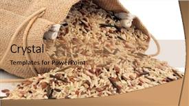  Presentation with rice - PPT theme featuring wild rice in a hessian background and a coral colored foreground