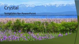  Presentation with lake front - Beautiful slides featuring wild roses cattails flathead lake backdrop and a light blue colored foreground