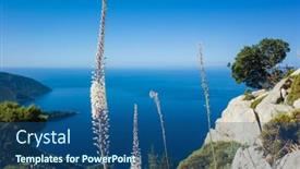  Presentation with blurred flowers - Audience pleasing presentation consisting of wild-sea-squill-flowers-bloom backdrop and a ocean colored foreground
