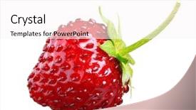  Presentation with octopus on isolated white - PPT theme consisting of wild strawberry isolated on white background and a white colored foreground