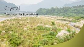  Presentation with sugarcane - PPT theme with wild-sugarcane-grass-with-white background and a lemonade colored foreground