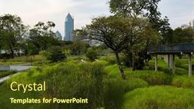  Presentation with swamp - Presentation with wild-swamp-area background and a tawny brown colored foreground