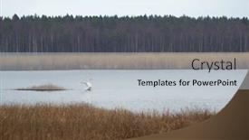  Presentation with lake - Audience pleasing theme consisting of wild-swan-in-the-slokas backdrop and a light gray colored foreground