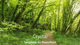  Presentation with springtime - Cool new theme with wild-temperate-forest-path backdrop and a tawny brown colored foreground