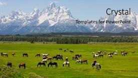  Presentation with wild wild west - Colorful PPT layouts enhanced with wild west - grand teton national park backdrop and a light blue colored foreground