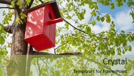 Presentation with tree - Theme featuring wildcraft - decorative birdhouse on tree background and a yellow colored foreground