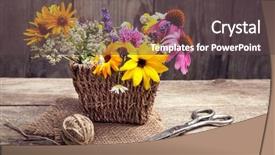  Presentation with chamomile - Colorful PPT layouts enhanced with wildcraft - wild flowers tangle of rope backdrop and a tawny brown colored foreground