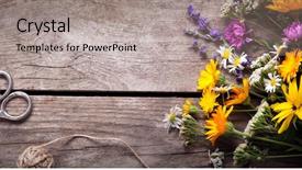  Presentation with thyme - Beautiful PPT layouts featuring wildcraft - wild flowers tangle of rope backdrop and a light gray colored foreground