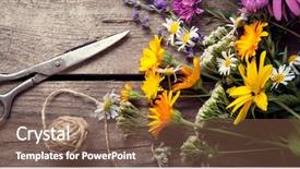 Presentation with chamomile - Audience pleasing slides consisting of wildcraft - wild flowers tangle of rope backdrop and a tawny brown colored foreground