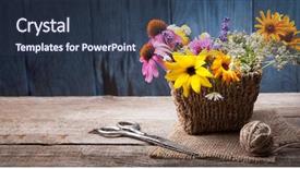  Presentation with chamomile - Amazing presentation having wildcraft - wild flowers tangle of rope backdrop and a tawny brown colored foreground