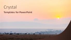  Presentation with kenya - Theme consisting of wildebeests-early-morning-in-masai background and a lemonade colored foreground