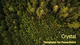  Presentation with wilderness - Audience pleasing slides consisting of wilderness - autumn forest aerial view backdrop and a tawny brown colored foreground
