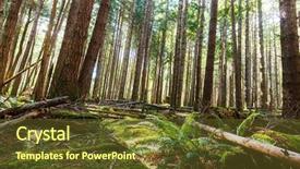  Presentation with british columbia canada - Colorful theme enhanced with wilderness - rain forest in vancouver island backdrop and a tawny brown colored foreground
