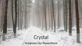  Presentation with wilderness - Amazing theme having wilderness road in snowy tundra backdrop and a white colored foreground