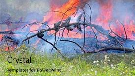 Presentation with forest fire - Audience pleasing slides consisting of wildfire - fire in the forest backdrop and a yellow colored foreground