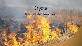  Presentation with wildfire - PPT layouts consisting of wildfire background and a light gray colored foreground