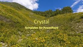  Presentation with wildflower meadow - Slide set consisting of wildflower-meadow-in-colorado-rocky background and a tawny brown colored foreground