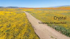  Presentation with algal bloom - Audience pleasing PPT theme consisting of wildflowers - california wildflower spring super bloom backdrop and a yellow colored foreground