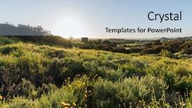  Presentation with wildflower meadow - Beautiful PPT layouts featuring wildflowers - san fernando valley spring wildflower backdrop and a light blue colored foreground