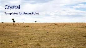 Presentation with animal nature - Cool new theme with wildlife concept - group of gazelle backdrop and a sky blue colored foreground