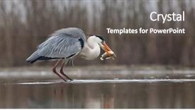  Presentation with beautiful mountains river lake sky nature - Amazing presentation having wildlife in its natural habitat backdrop and a dark gray colored foreground