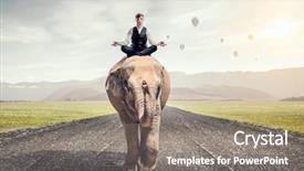  Presentation with power media - PPT theme enhanced with wildlife management - he possesses animal strength background and a gray colored foreground