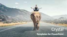  Presentation with power media - PPT layouts enhanced with wildlife management - he possesses animal strength background and a gray colored foreground