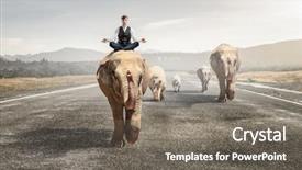  Presentation with power media - PPT theme having wildlife management - he possesses animal strength background and a gray colored foreground