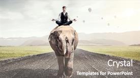  Presentation with god’s strength - Presentation design enhanced with wildlife management - he possesses animal strength background and a gray colored foreground