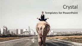  Presentation with power media - Colorful PPT layouts enhanced with wildlife management - he possesses animal strength backdrop and a light gray colored foreground