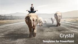  Presentation with power media - Amazing PPT layouts having wildlife management - he possesses animal strength backdrop and a gray colored foreground