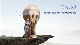  Presentation with power media - Amazing slides having wildlife management - power and leadership concept mixed backdrop and a sky blue colored foreground