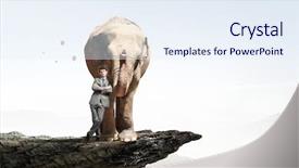  Presentation with media management - Audience pleasing PPT layouts consisting of wildlife management - power and leadership concept mixed backdrop and a sky blue colored foreground