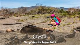  Presentation with sea port - Slides featuring wildlife-nature-photographer-tourist background and a violet colored foreground